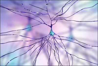 Brain cells depicting ongoing research